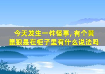 今天发生一件怪事, 有个黄鼠狼是在柜子里有什么说法吗